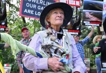 Renewables protestors hit Brisbane