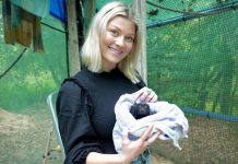 Batty for rehabilitation