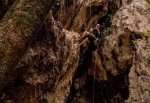 Fossilised fun and firsts at the Caves