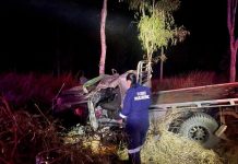 Young man hurt in Dingo car rollover