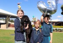 Paws for thought on Sage’s birthay