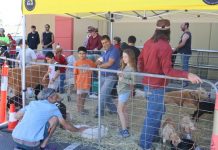 Celebrating Drakes’ new look