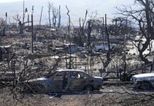 Maui County sues utility company over deadly fires