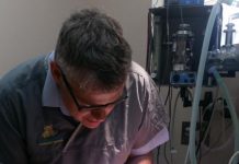 Greg the amputee turtle released