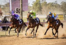 Not Another win for popular trainer at Dingo Cup day