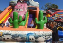 Wattle on down to Mount Morgan