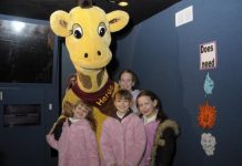 Apply for road safety grants