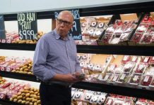 Cost of living more important than Voice: Dutton