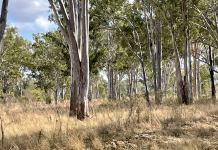 Proposed solar farm too close to reef