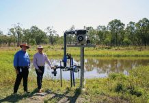 Rocky builds local resilience