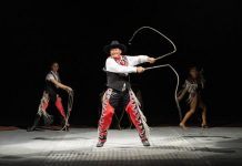 Come one, come all to a fun-filled circus night!