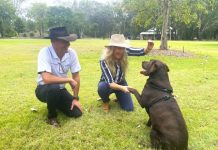 Unleashing new dog parks