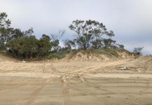 Farnborough Beach Dune Damage