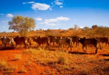 Don’t sideline agriculture