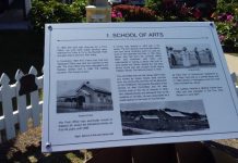 The Emus are back in town