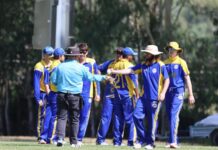 Sharks chomp down Fish