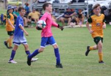 New comp headlines return of juniors