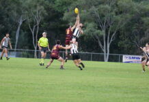 Bulls ace Payne’s 150 reasons to celebrate