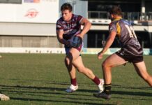 Hubner debuts for Dolphins