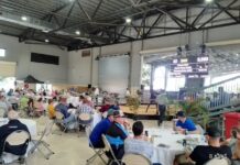 Bargains and future stars at sale