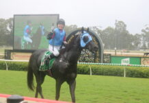 Sethlans seals a wet Country Cup