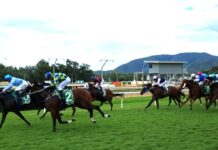 Silver Glitter dazzles in Classic win