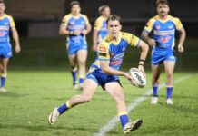 Seagulls share the spoils