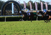 Hometown triumph in The Archer