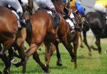 18 April locked in for classic races