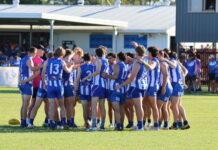 Bulls, Panthers land big wins on the road