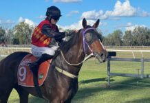 Jaimee-Lee’s dream debut