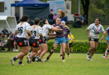 Wooden-spoon destined for Capras