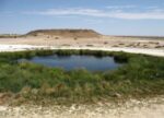 Great Artesian Basin an Australian Issue - Central Queensland Today