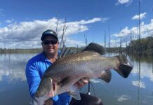 Incredible conditions for inshore fishing
