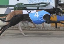 Inevitable conclusion to Rocky Cup