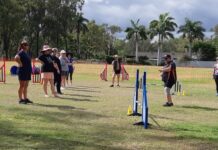Talented teams attend agility workshop