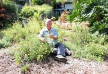 YEAR IN REVIEW: Year of elections, change