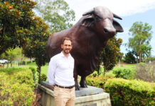 Vodafone beefs up mobile coverage and network across CQ