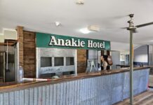 Sparrow’s back on his perch