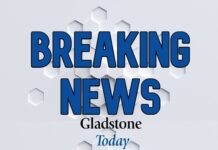 Shark attack on Curtis Island