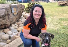 Rescue group ends year on a high