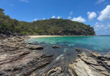 Great focus on CQ jewel