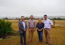 Slowing down the rush to renewables