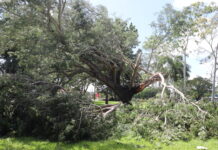 Wild weather lashes CQ