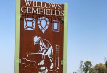 Roo attacks Gemfields man