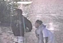 Appeal after two Park Avenue assaults