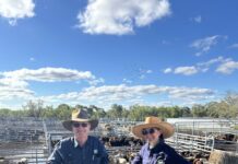 Saleyards manager resigns