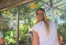 Tourism teamwork bolsters Beef Capital