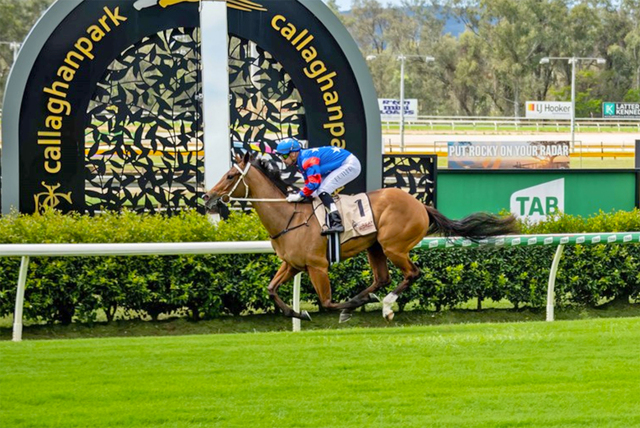 Taylor's trio ready to peak - Central Queensland Today