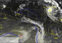 Albert’s a Queenslander